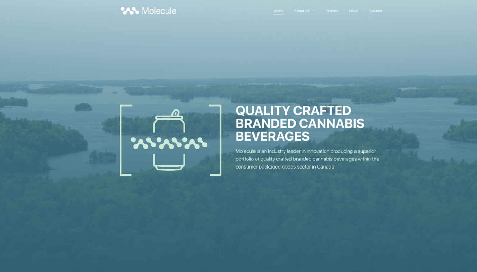 Molecule Holdings Inc. Launches Corporate site Molecule
